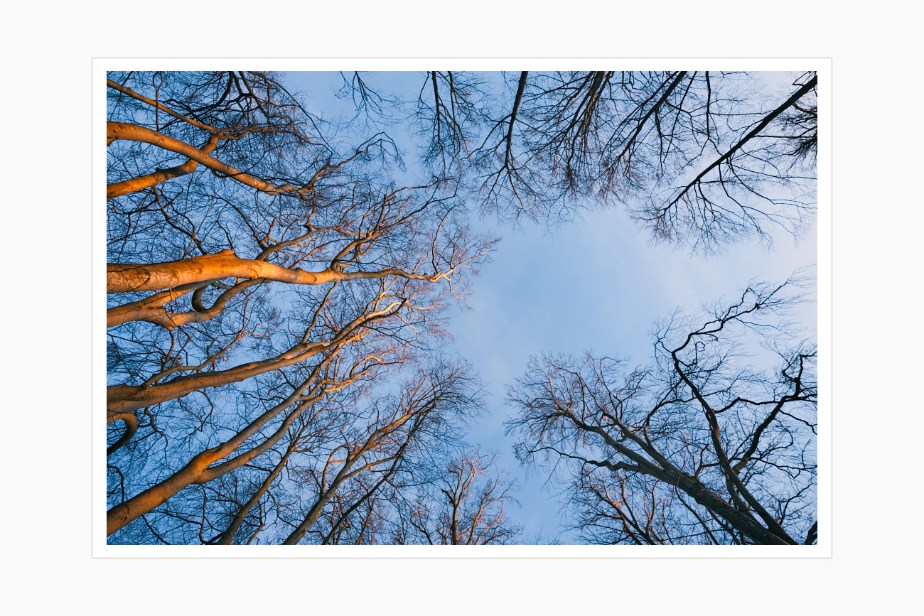 Max Schiefele Alle Bilder DS100020